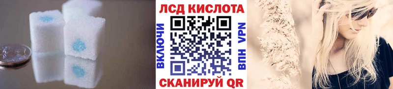 купить наркоту  Отрадное  ЛСД экстази ecstasy 