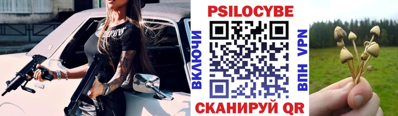 Галлюциногенные грибы Psilocybe  Отрадное 